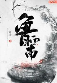 《鲁西南》小说封面