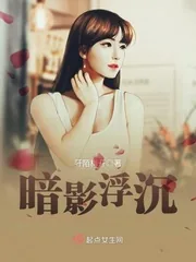 《暗影浮沉》小说封面
