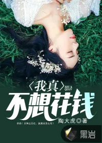 《我真不想花钱》小说封面