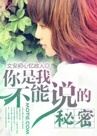 《你是我不能说的秘密》小说封面