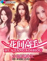 《天才高手在都市》小说封面