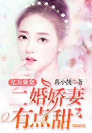 《亿万豪宠：二婚娇妻有点甜》小说封面