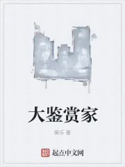 《大鉴赏家》小说封面