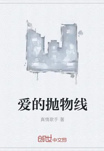 《爱的抛物线》小说封面