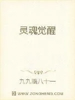 《灵魂觉醒》小说封面