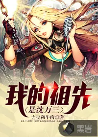 《我的祖先是沈万三》小说封面