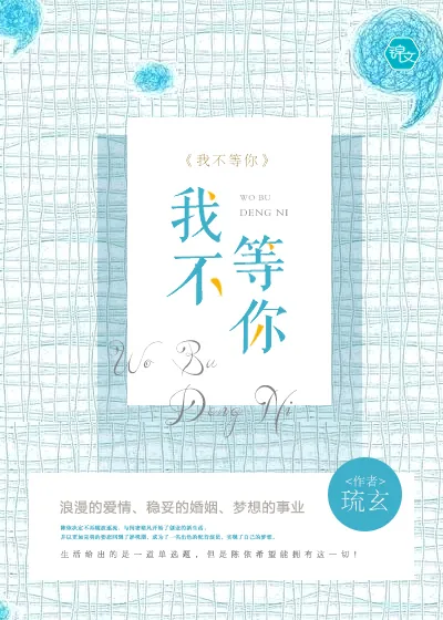 《我不等你》小说封面