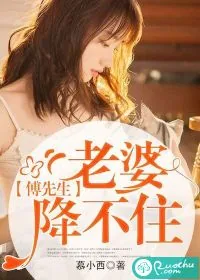 《傅先生,老婆降不住》小说封面