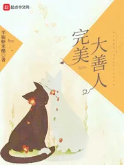 《完美大善人》小说封面