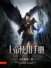 《上帝使用手册》小说封面