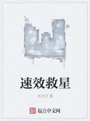 《速效救星》小说封面