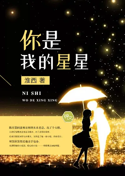 《你是我的星星》小说封面