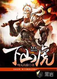 《下山虎》小说封面