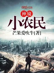 《神镜小农民》小说封面