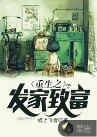《重生之发家致富》小说封面