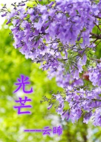 《光芒》小说封面