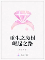 《重生之废材崛起之路》小说封面