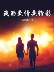 《我的爱情要精彩》小说封面