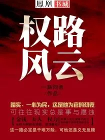 《权路风云》小说封面