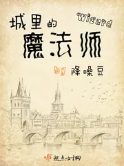 《城里的魔法师》小说封面