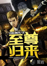 《至尊归来》小说封面