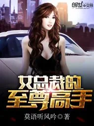 《女总裁的至尊高手》小说封面