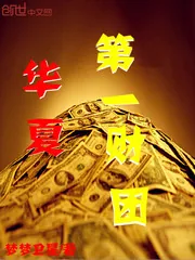 《华夏第一财团》小说封面