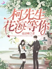 《柯先生，花海等你》小说封面