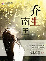 《乔生南国》小说封面