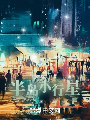 《半岛小行星》小说封面