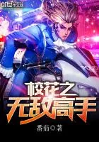 《校花之无敌高手》小说封面