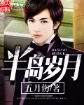 《半岛岁月》小说封面