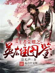 《王者荣耀之英雄图鉴》小说封面