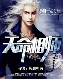 《天命相师》小说封面