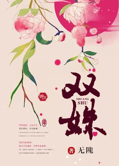 《双姝》小说封面