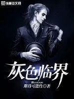 《灰色临界》小说封面