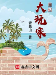 《自然大玩家》小说封面