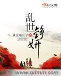 《乱世铮妍》小说封面