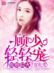 《暖婚似火：顾少，轻轻宠》小说封面