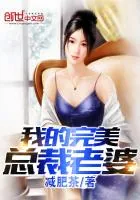 《我的完美总裁老婆》小说封面