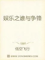 《娱乐之谁与争锋》小说封面