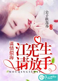《谋情似海：江先生请放手》小说封面
