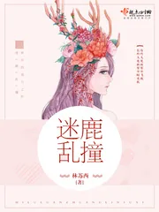 《迷鹿乱撞》小说封面