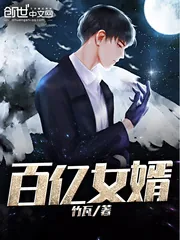 《百亿女婿》小说封面
