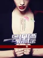 《一号保镖》小说封面