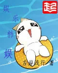 《娱乐韩娱》小说封面