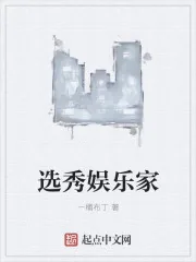 《选秀娱乐家》小说封面