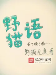 《野猫语》小说封面