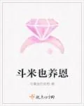 《斗米也养恩》小说封面