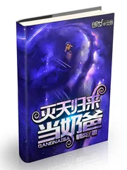 《灭天归来当奶爸》小说封面